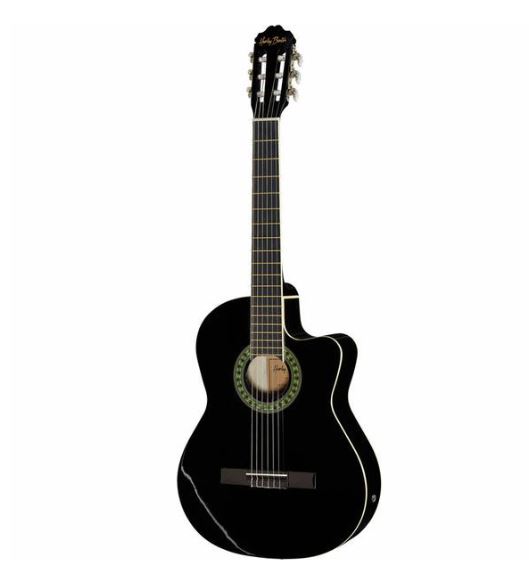 Gitarre für Anfänger, die Harley Benton CG200