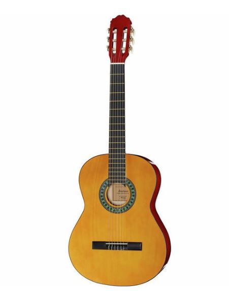 Gitarre für Anfänger, die Startone CG 851